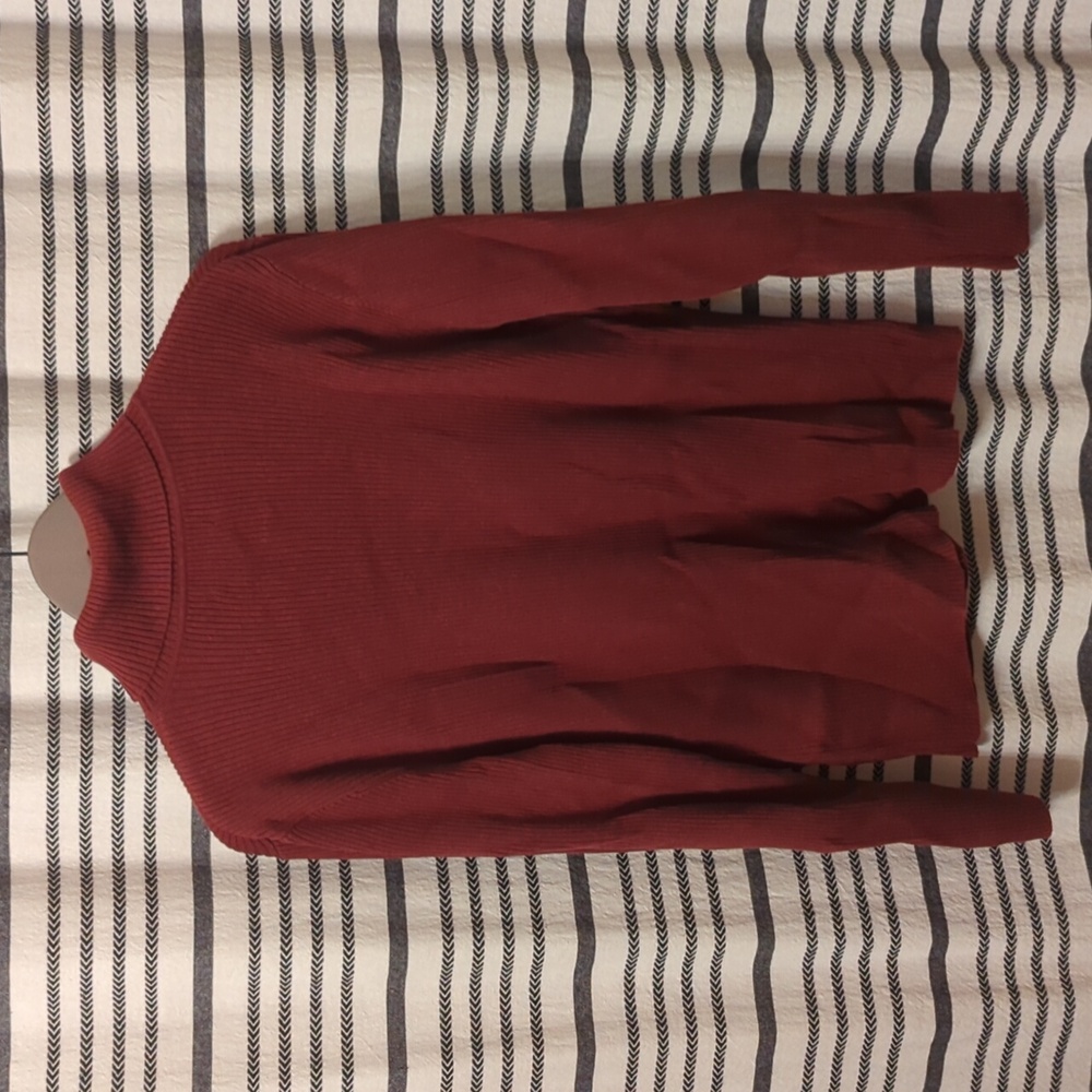 Pendleton Turtleneck - image 3